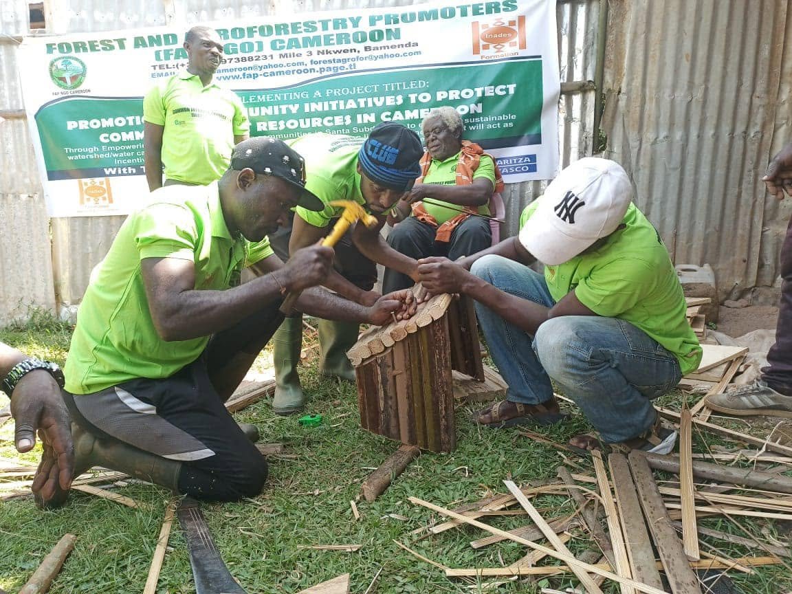 Empowering Rural Communities in Cameroon: How FAP NGO is Driving Sustainable Change