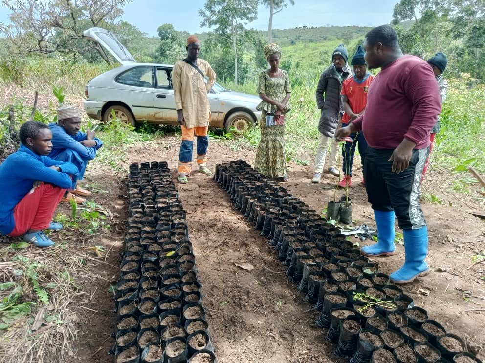 A Tree Planted Today is a Life Protected Tomorrow: How FAP NGO is Transforming Communities Through Agroforestry